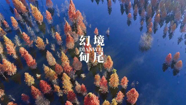 逃离春雨下的房子