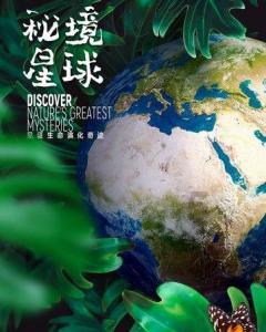 格斗巅峰大作战1.1