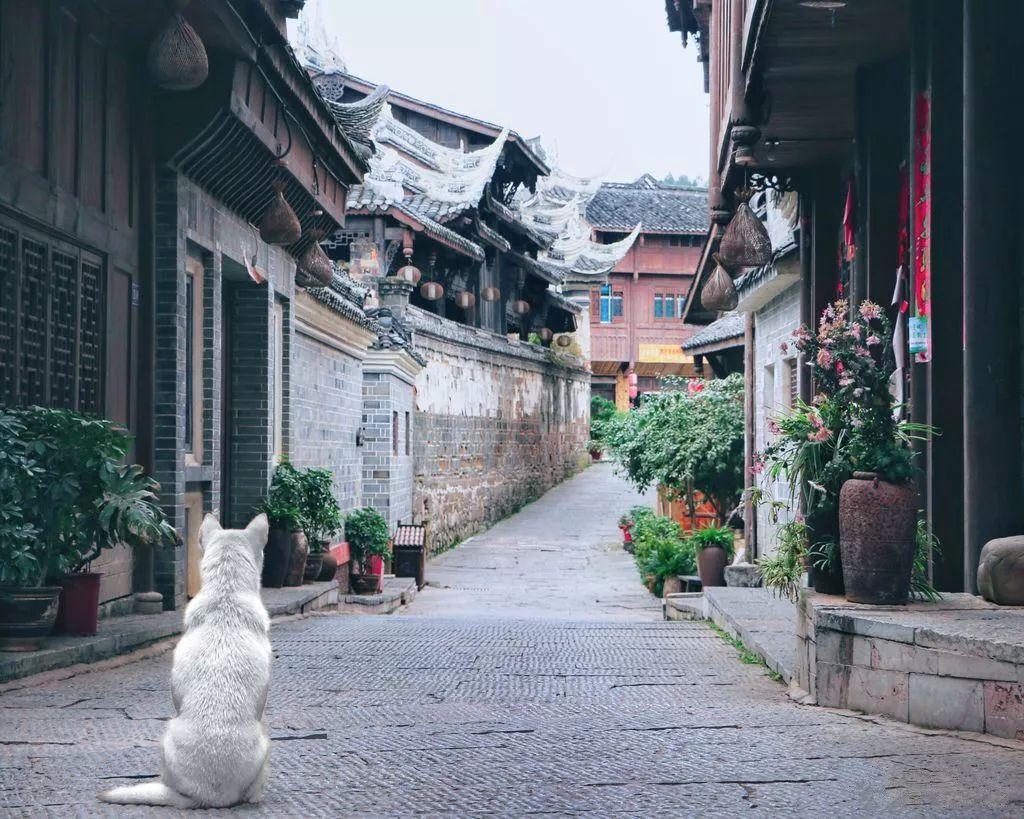 芭比娃娃的服装